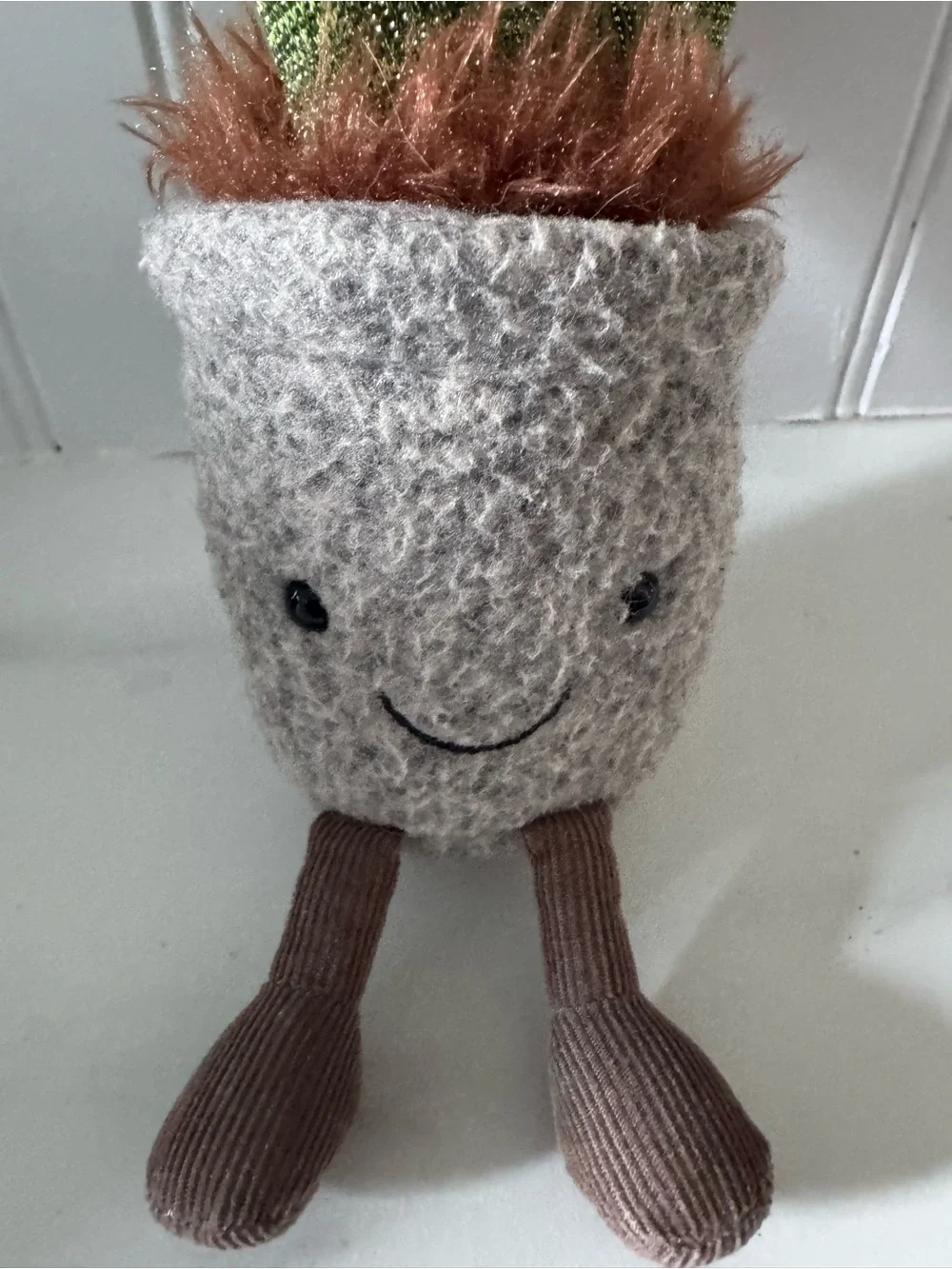Jelly Cat Silly Succulent Planter with Smiling Face